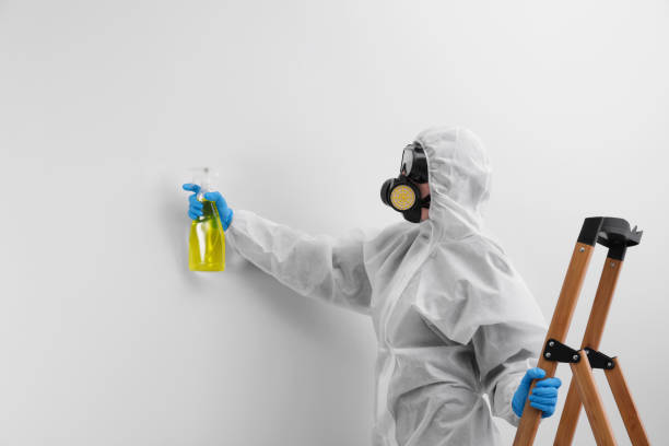 Grand Forks, ND Mold Removal & Remediation Company