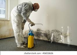 Mold Documentation for Insurance Claims in Grand Forks, ND